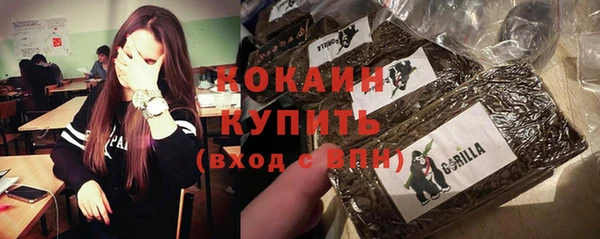 альфа пвп Гусиноозёрск