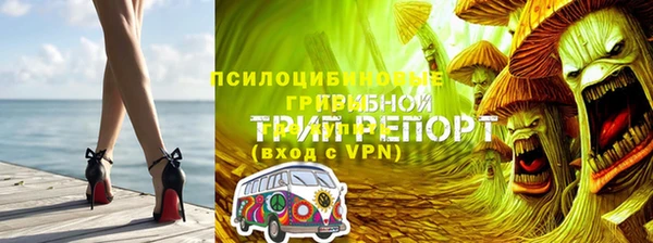 винт Майский